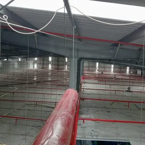 Keo Khóa Ren Hangtai 150 17 Keo Khóa Ren Hangtai 150